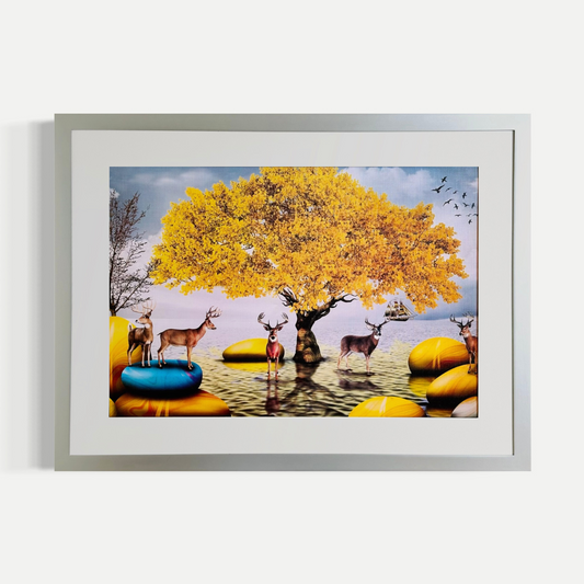 El gran árbol de luz - Paula Clemence